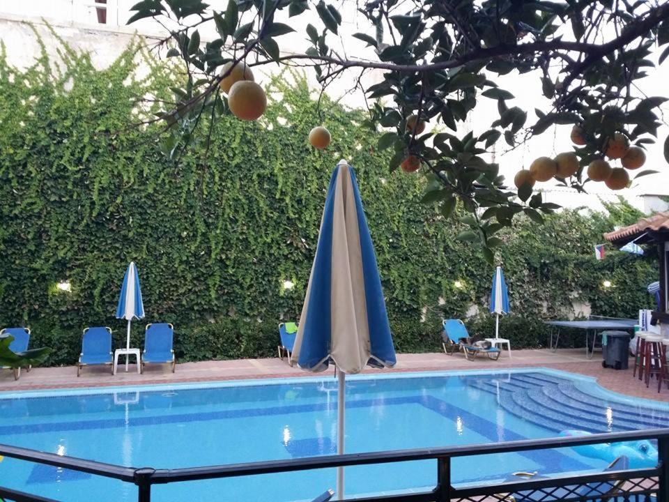 Sofia Studios & Apts Ayía Marína Eksteriør billede
